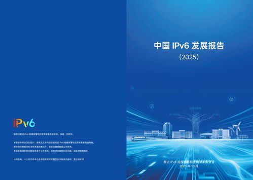 IPv6在我國實現(xiàn)跨越式突破 網(wǎng)絡(luò)技術(shù)開發(fā)驅(qū)動2025年活躍用戶達(dá)8.65億